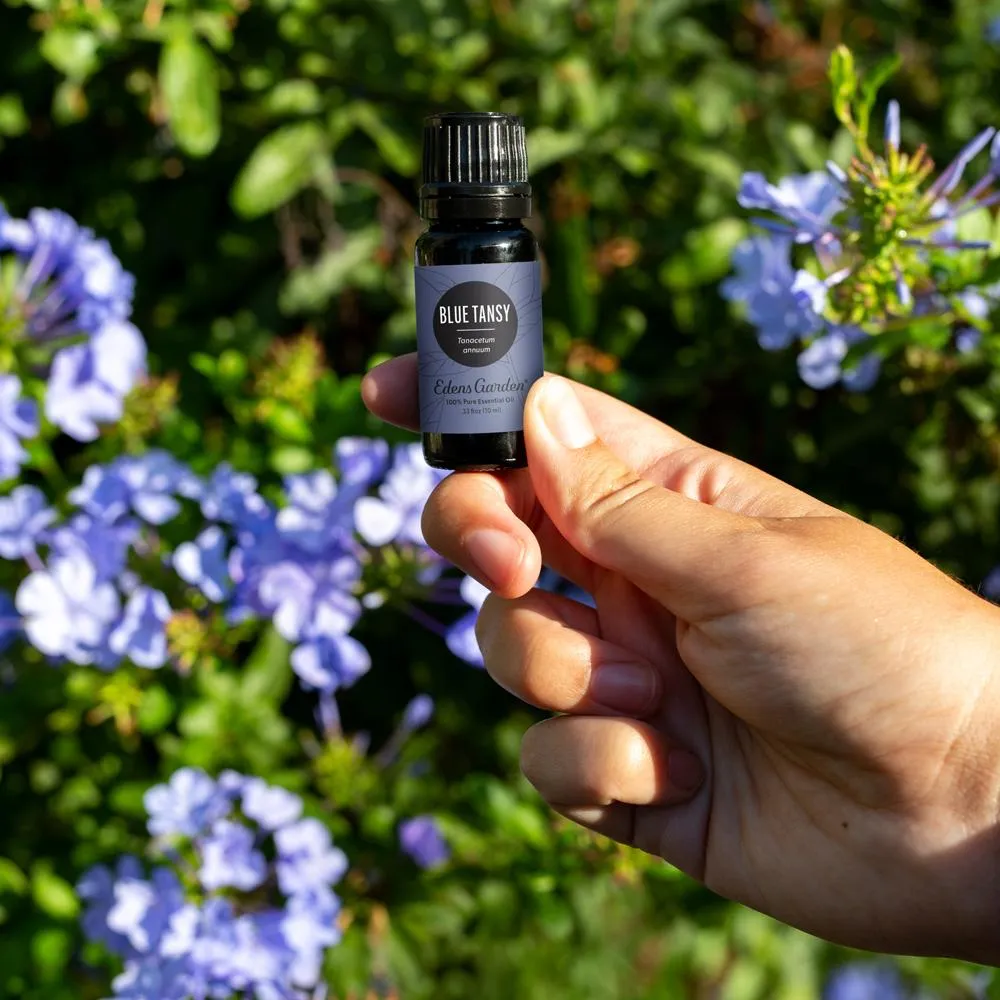 Blue Tansy Essential Oil