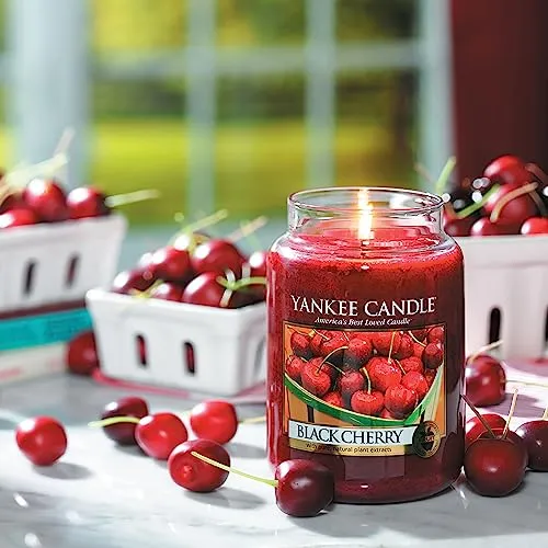 Yankee Candle Autumn Wreath Scented, Classic 22oz Large Jar Single Wick Aromatherapy Candle